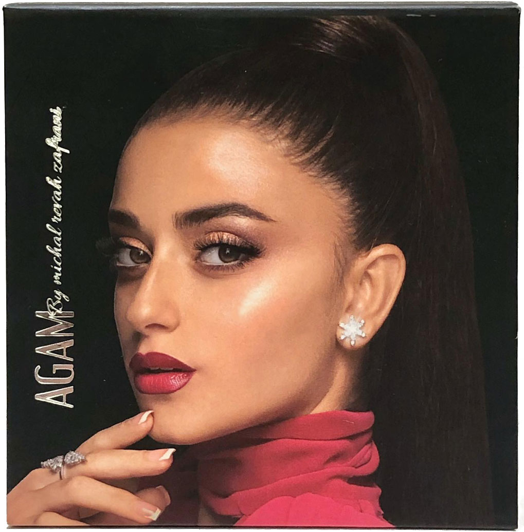 ״אגם״ פלטה חדשה מבית מיכל רווח זפרני